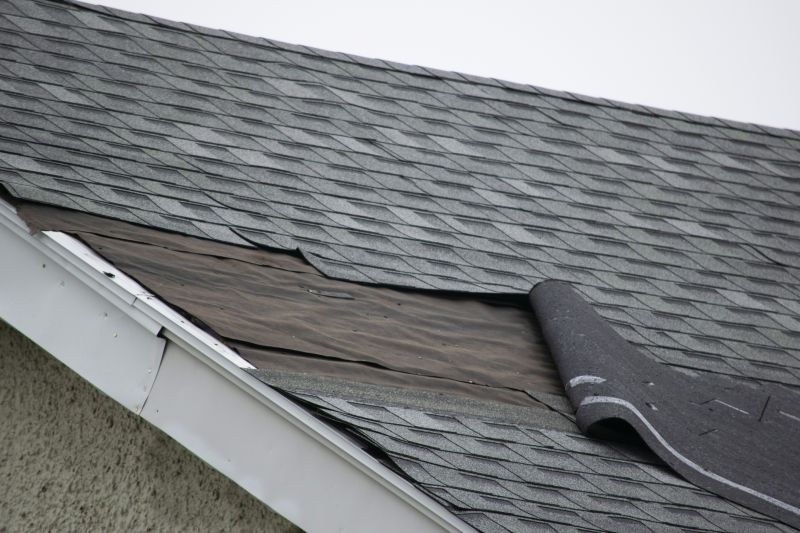 Asphalt Shingle Repair Image 8