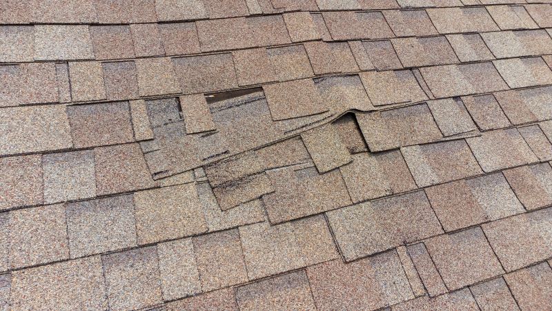 Asphalt Shingle Repair Image 9